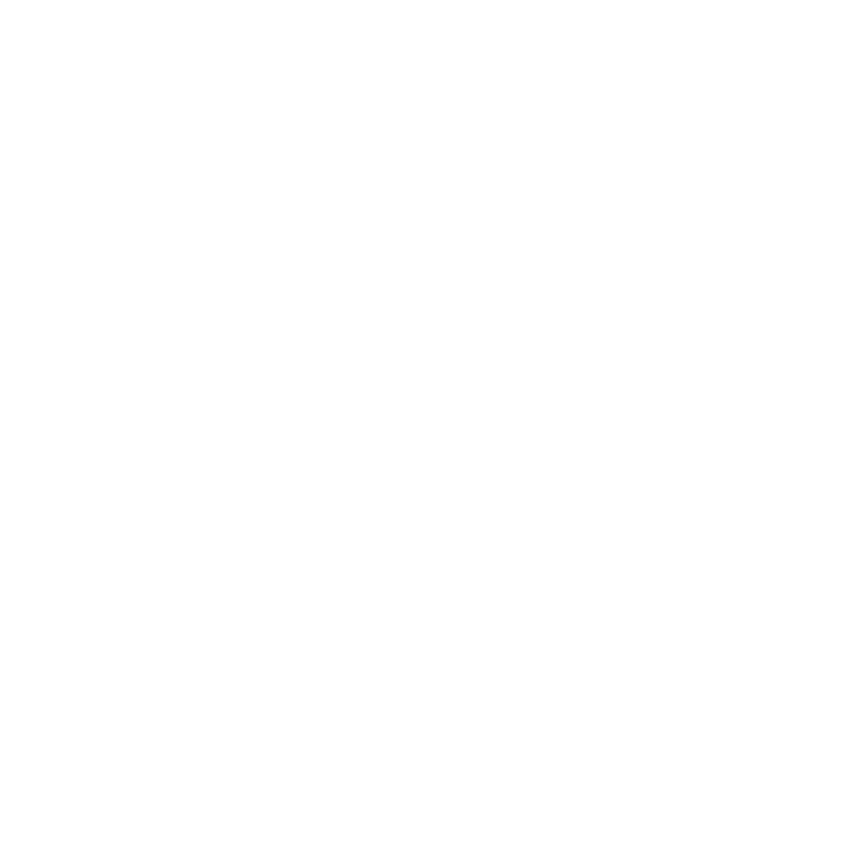 CathTeam Logo White